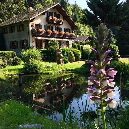Chambres D'Hotes Des Cascades St-Nicolas Kruth Екстер'єр фото