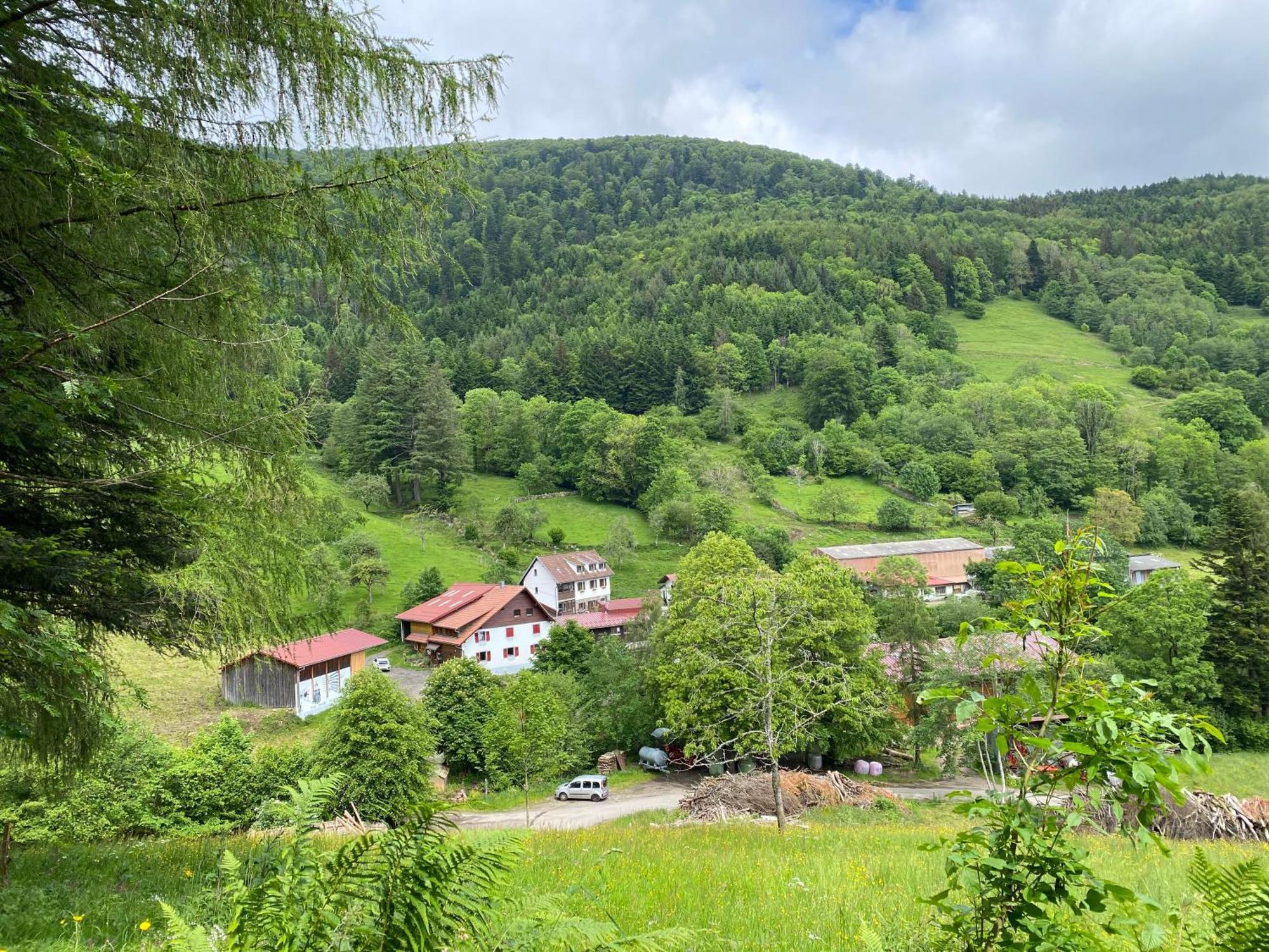 Chambres D'Hotes Des Cascades St-Nicolas Kruth Екстер'єр фото