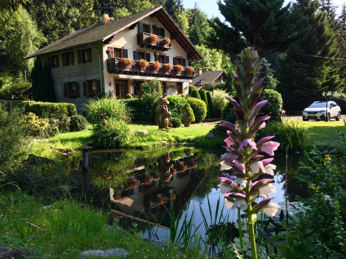 Chambres D'Hotes Des Cascades St-Nicolas Kruth Екстер'єр фото